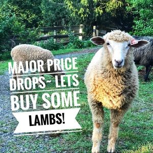 Lots of items majorly reduced to $10!